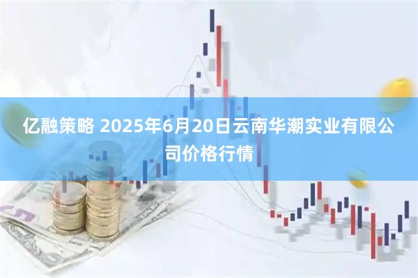 亿融策略 2025年6月20日云南华潮实业有限公司价格行情