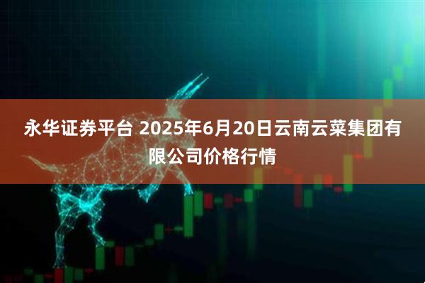永华证券平台 2025年6月20日云南云菜集团有限公司价格行情