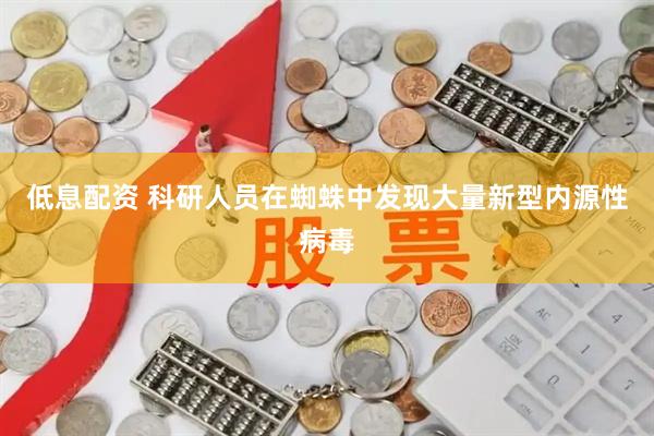 低息配资 科研人员在蜘蛛中发现大量新型内源性病毒