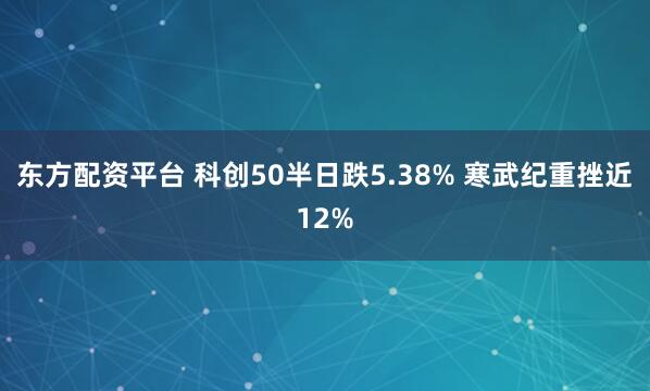 东方配资平台 科创50半日跌5.38% 寒武纪重挫近12%